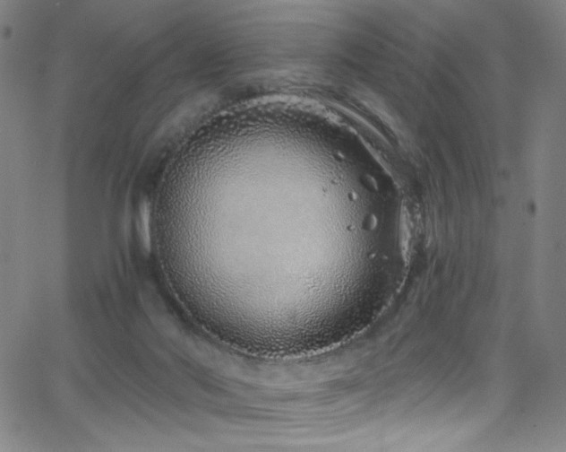 X0000068730022200604281150