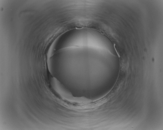 X0000068730027200604281150