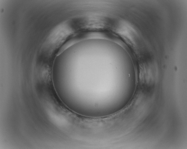 X0000068730029200604281150