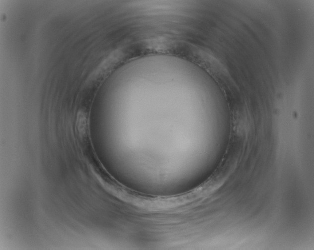 X0000068730036200604281150