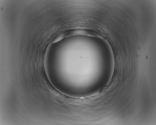 X0000068730037200604281150