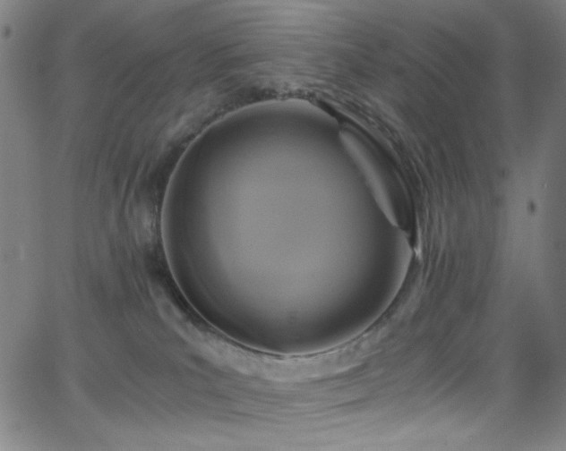 X0000068730039200604281150