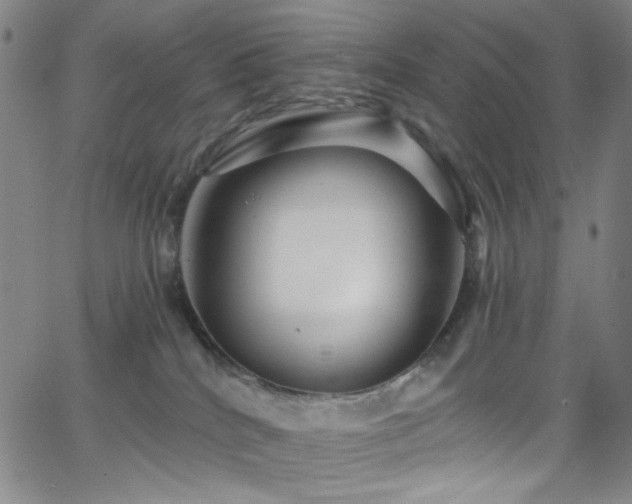X0000068730040200604281150