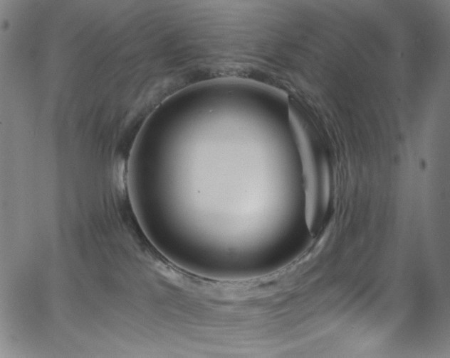 X0000068730041200604281150