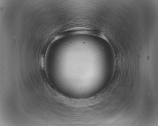 X0000068730042200604281150