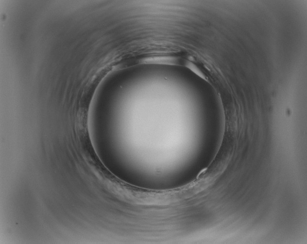 X0000068730044200604281150