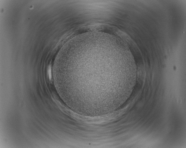 X0000068730046200604281150