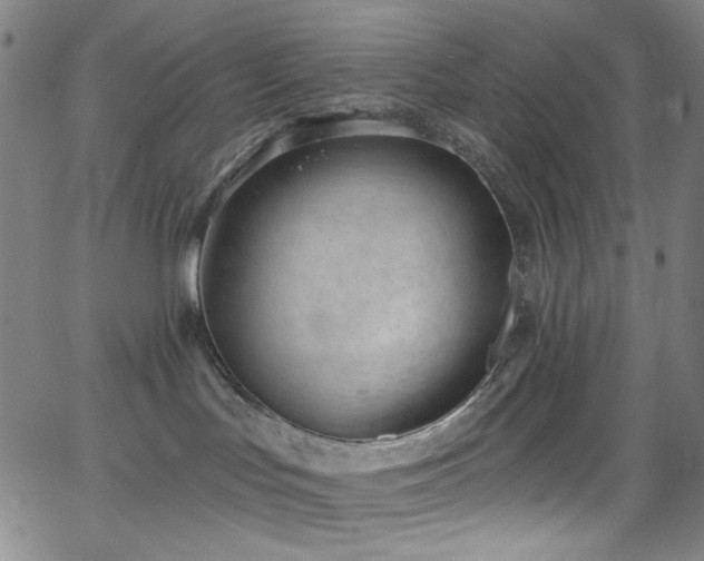 X0000068730047200604281150