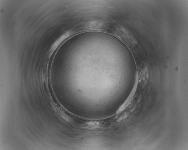 X0000068730052200604281149