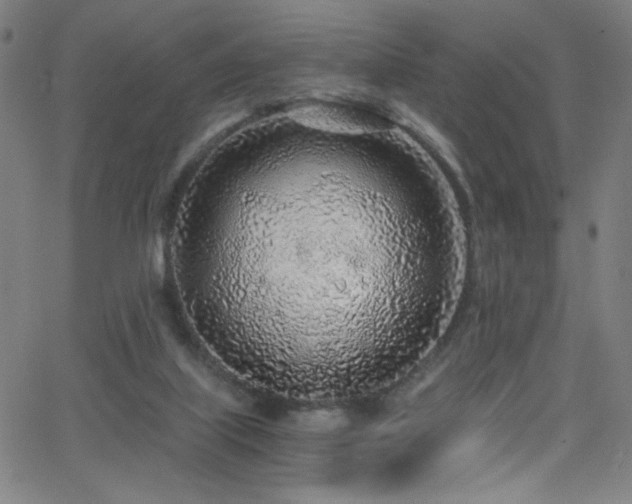 X0000068730067200604281149