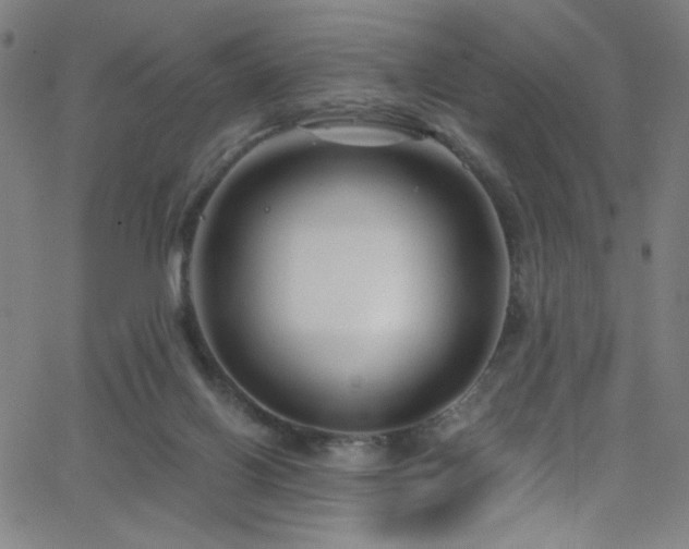 X0000068730070200604281149