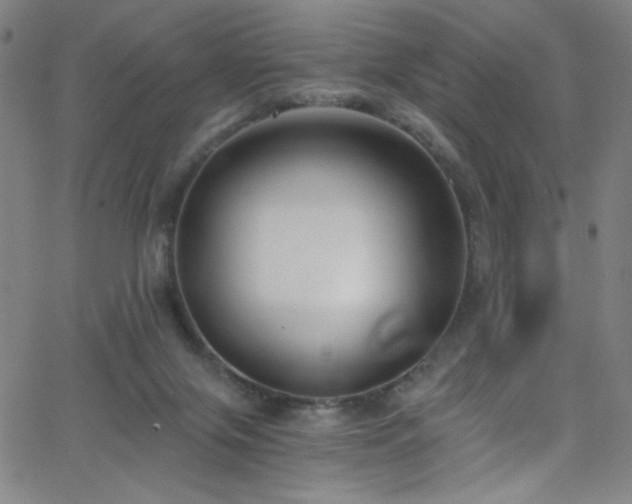 X0000068730071200604281149