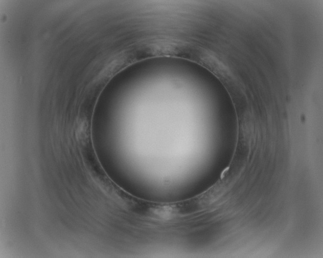 X0000068730079200604281149