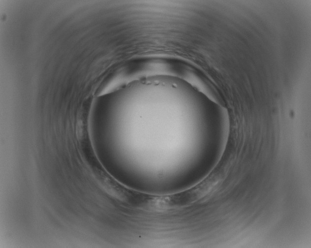 X0000068730080200604281149