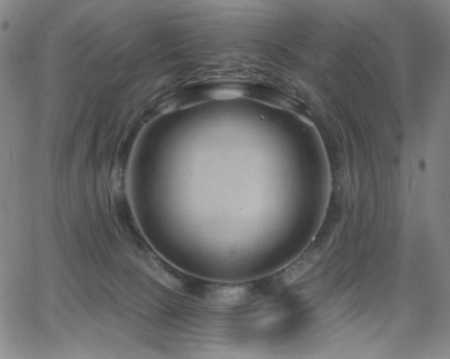 X0000068730081200604281149