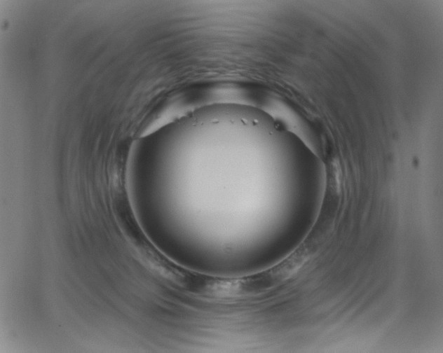 X0000068730084200604281149