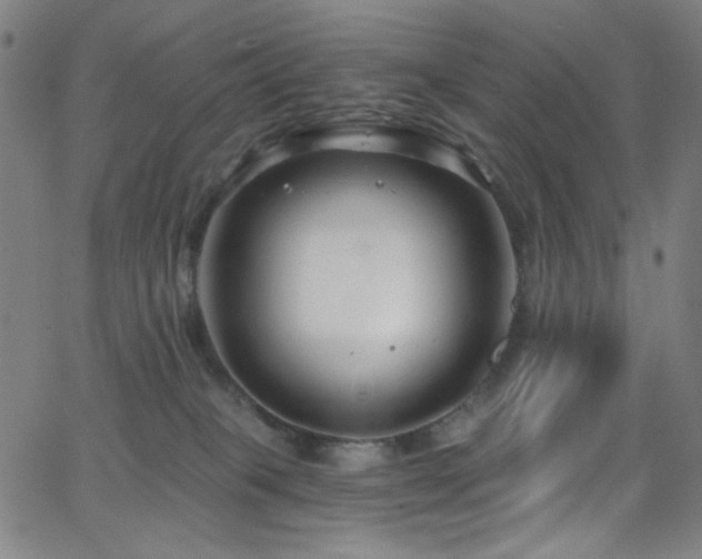 X0000068730085200604281149