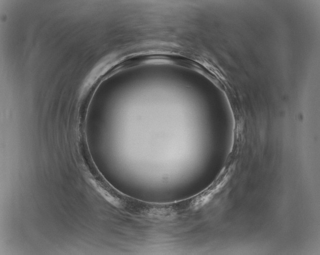X0000068730101200604281149