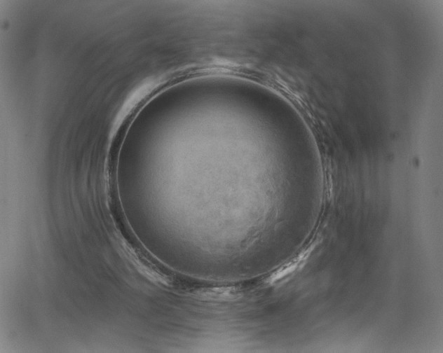 X0000068730102200604281149