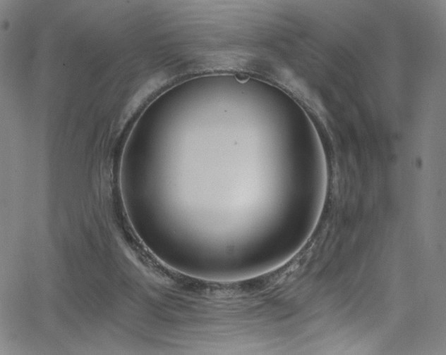 X0000068730107200604281149