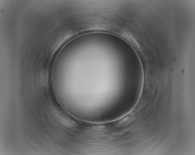 X0000068730108200604281149