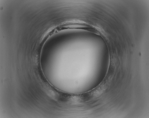 X0000068730111200604281149