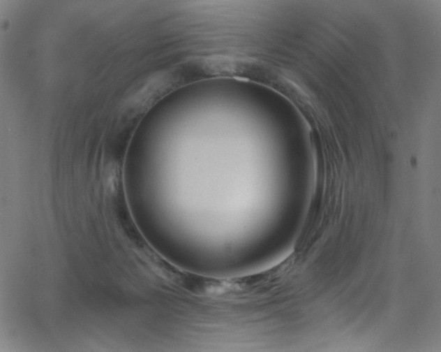 X0000068730125200604281148
