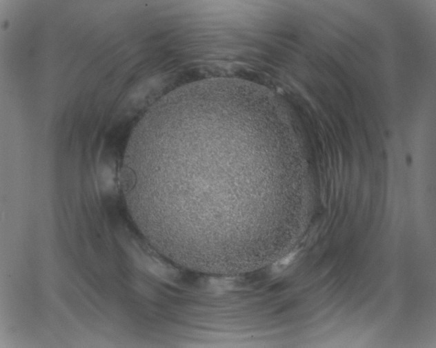 X0000068730134200604281148