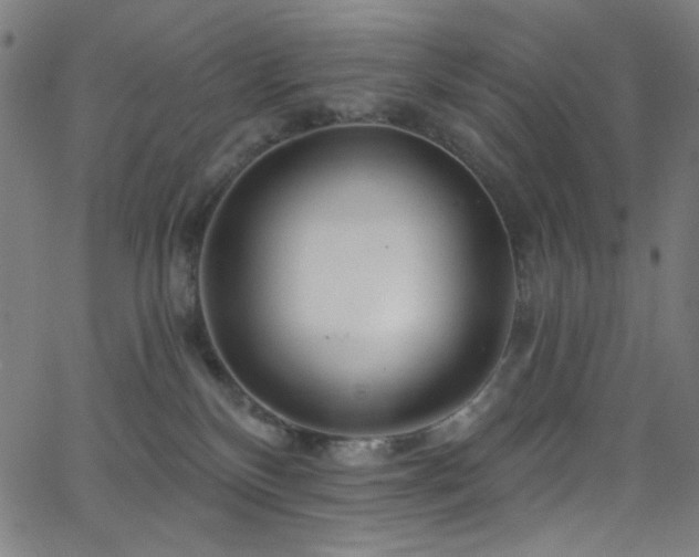 X0000068730136200604281148