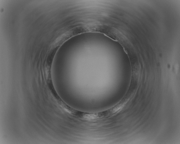 X0000068730139200604281148