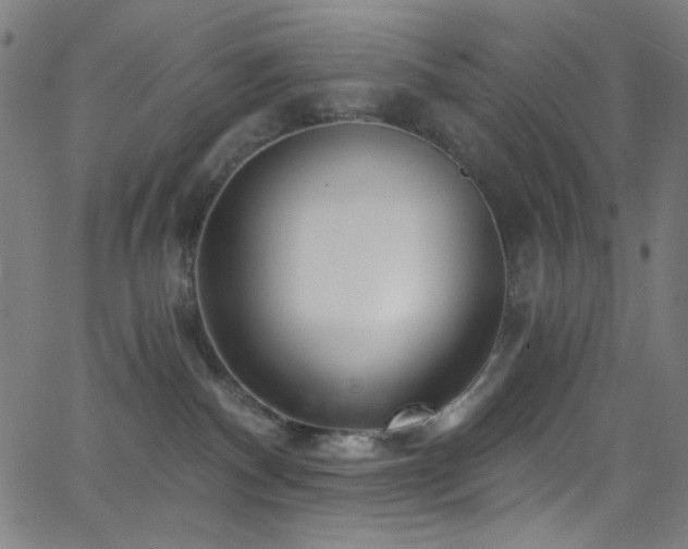 X0000068730140200604281148