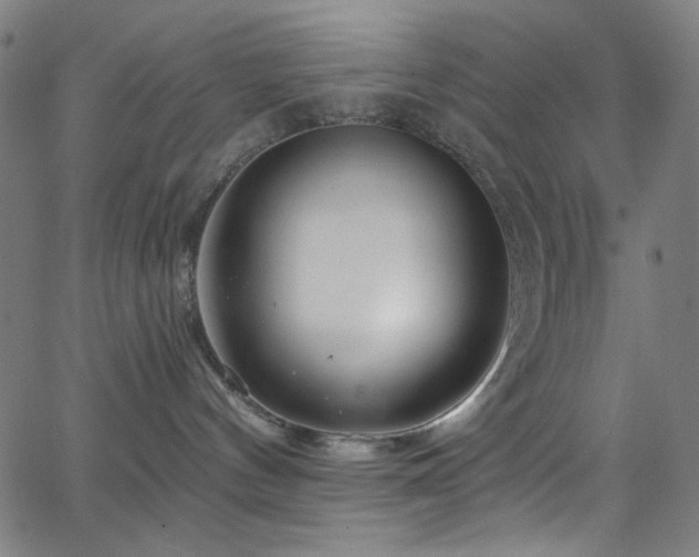 X0000068730144200604281148