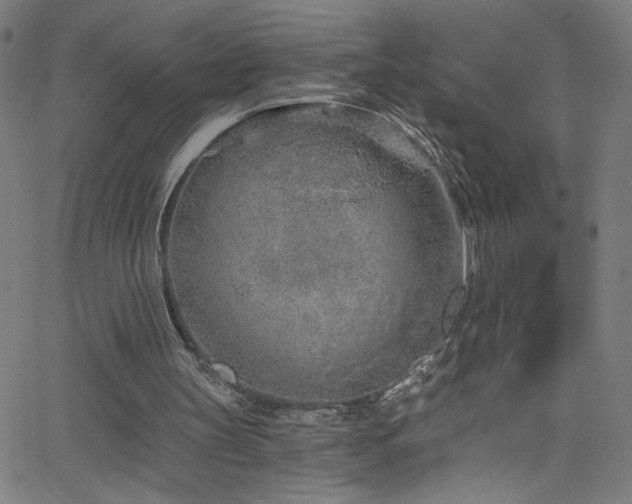 X0000068730147200604281147