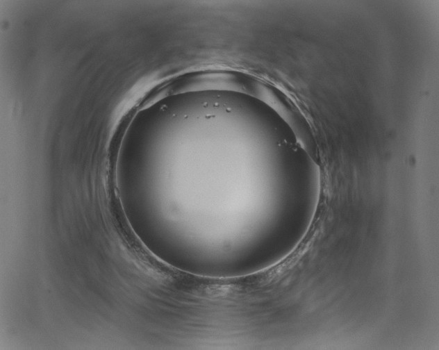 X0000068730152200604281147