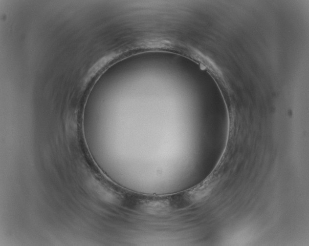X0000068730155200604281147