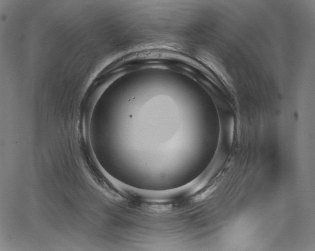 X0000068730156200604281147