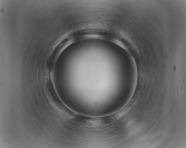 X0000068730164200604281147