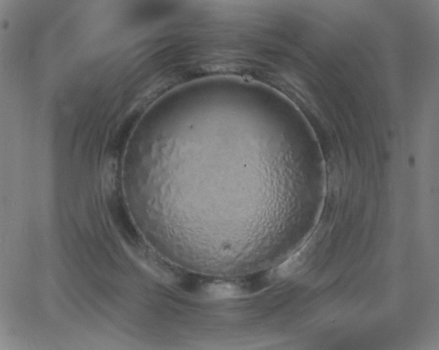 X0000068730171200604281148