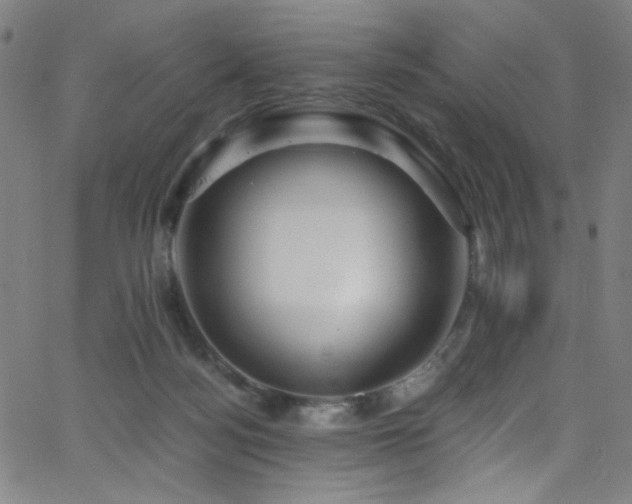 X0000068730172200604281148