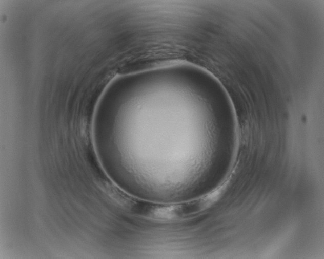 X0000068730178200604281148