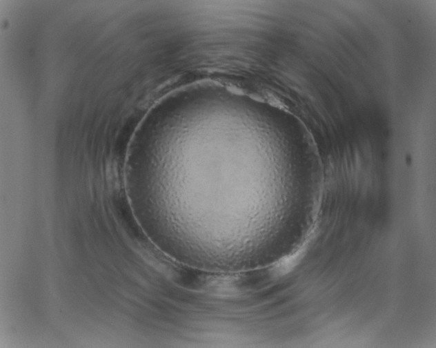 X0000068730182200604281148