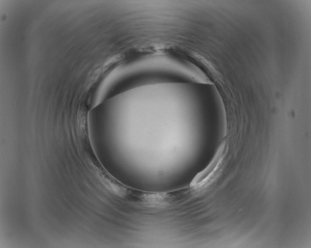 X0000068730192200604281148