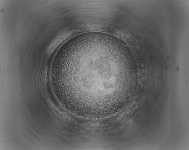 X0000068730194200604281147
