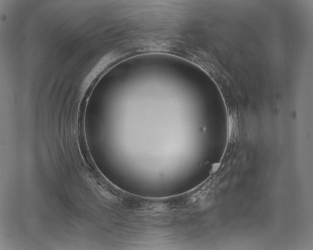 X0000068730195200604281147