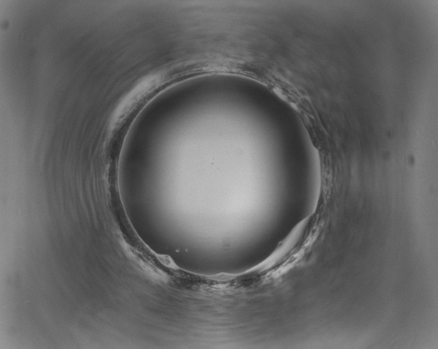 X0000068730197200604281147