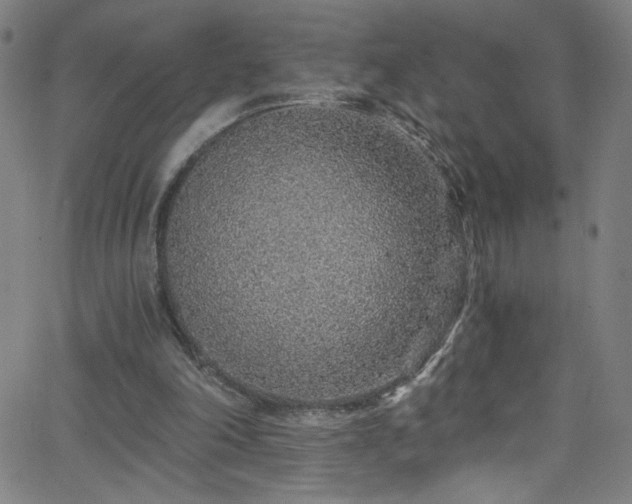 X0000068730198200604281147