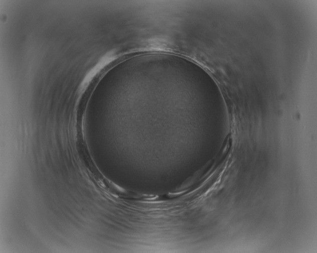 X0000068730200200604281147