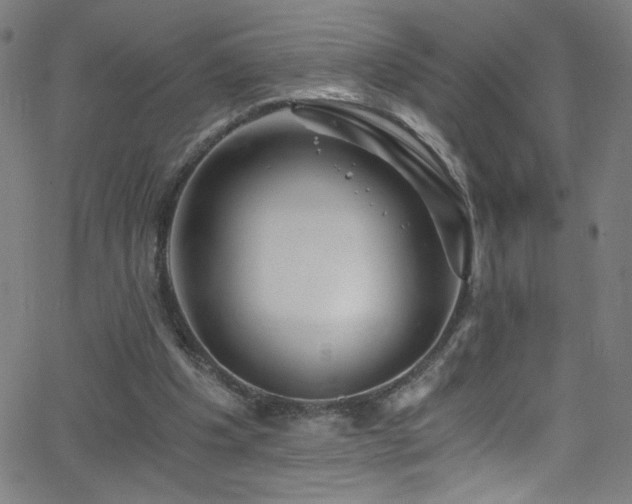 X0000068730201200604281147