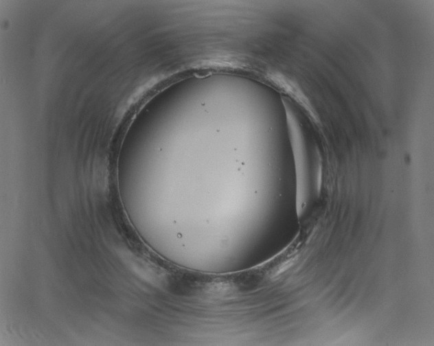 X0000068730204200604281147