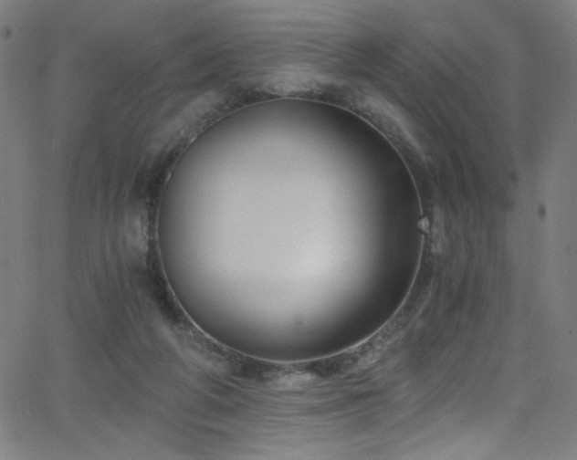 X0000068730210200604281147